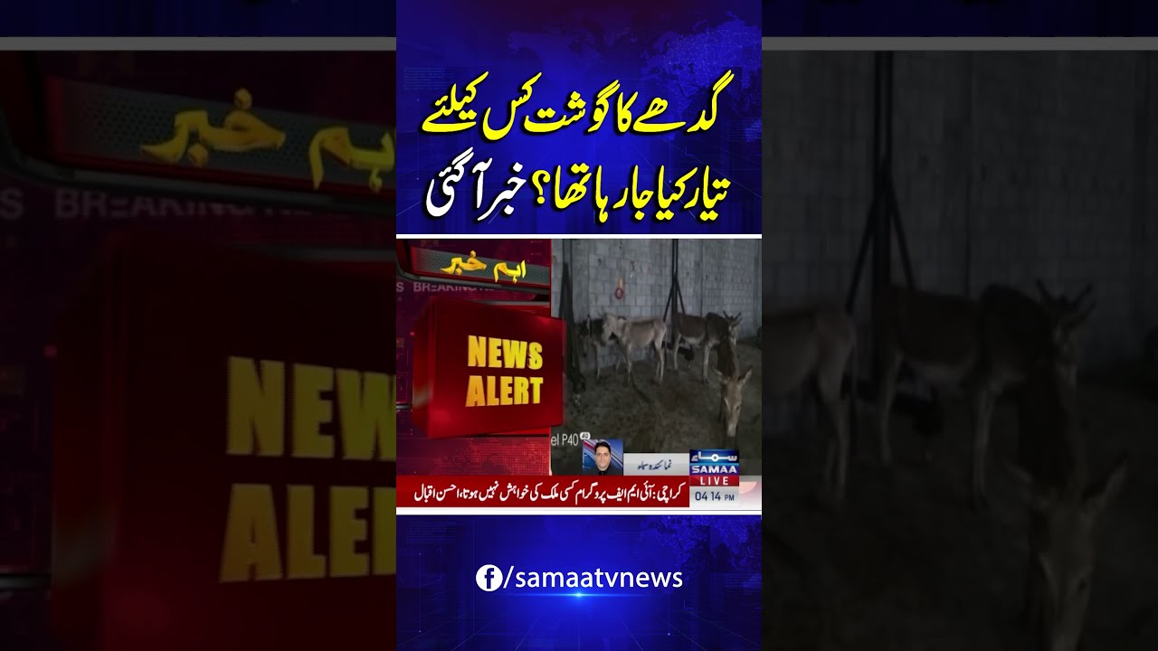 Good News For Islamabad Who Was Donkey Meat Being Prepared Shocking Uncovered Samaa TV