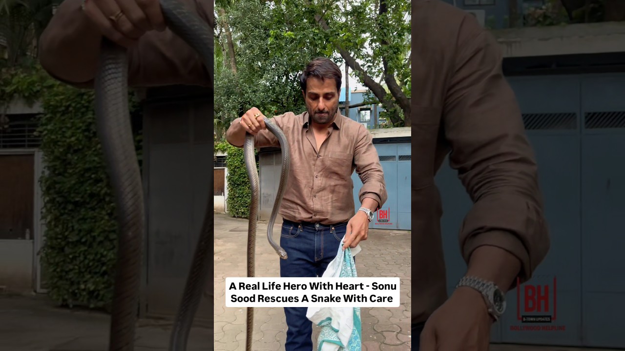 Sonu Sood Handles Snake Rescue With Calm and Kindness&mdash;Netizens Applaud His Humanity #sonusood