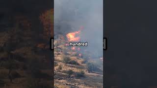 Spain Faces Worst Wildfires in 20 Years Amid Record Heatwaves
