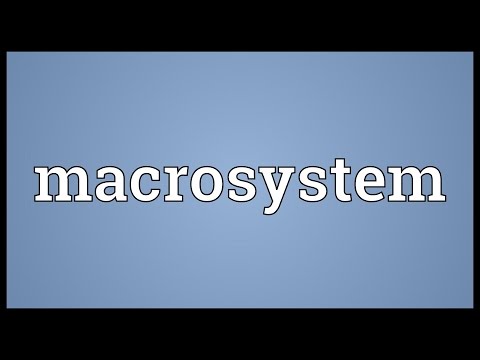 วีดีโอ: ตัวอย่างของ Macrosystem คืออะไร?