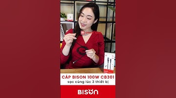 Cáp sạc Bison 3in1, 100W (Model: S-CB301)