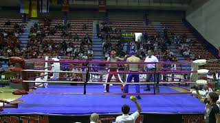 Gabor Gorbics vs Milton Galarreta - WAKO Kickboxing Championship 2014 Bilbao, Spain