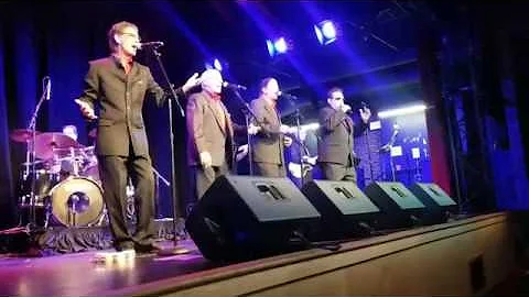 "The Diary" Joel Katz and the Dynamics