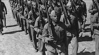 Veterans' Voices