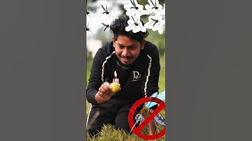 Survival Skills: SIMPLE and USEFUL #bushcraft #outdoors #camping