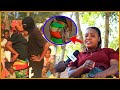 MAMA ELECHO AKEMEA VIBAYA WANA NDOA NAKUWA WEKAWAZI WASANI WA CAMP MAMA ELECHO AKEMEA VIBAYA WANA NDOA NAKUWA WEKAWAZI WASANI WA CAMP