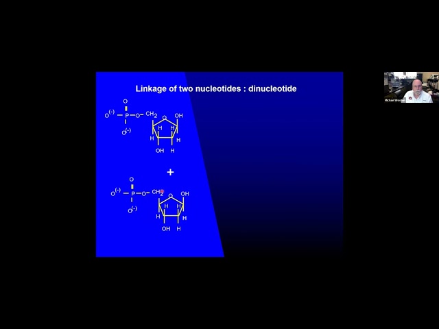 GG   DNA Chemical Part 2
