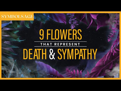 9 Flowers that Represent Death & Sympathy | SymbolSage