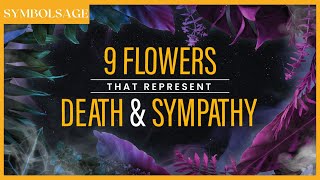 9 Flowers that Represent Death \u0026 Sympathy | SymbolSage