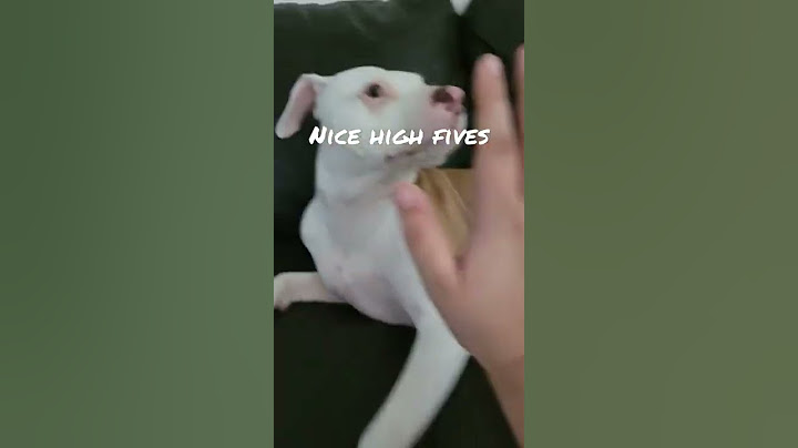 who else likes high fives?