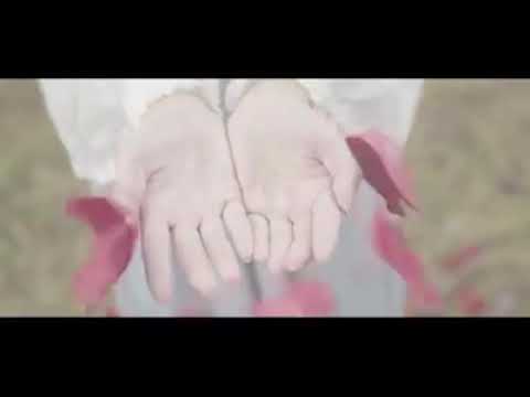 陪著你走 cover by iamsingingwong