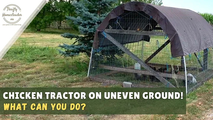 Chicken Tractor on Uneven Ground