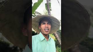Petani melenial….#melenial #petani