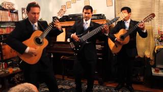 Video thumbnail of "Marabu Trio Martino ( Luis , Libardo, y Daniel )."