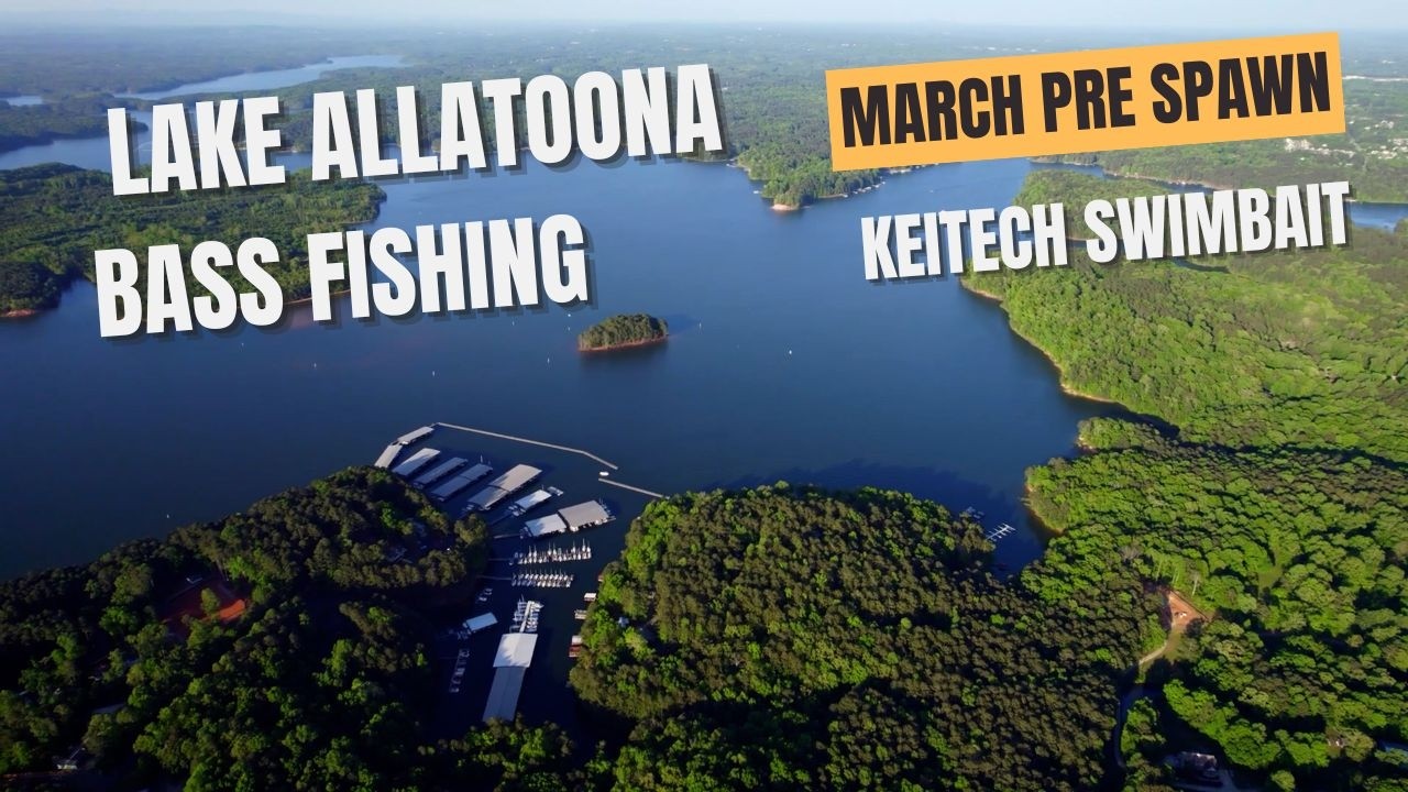 Lake Allatoona Bass Fishing in March Pre Spawn with (Keitech Swimbait) #bassfishing #prespawn