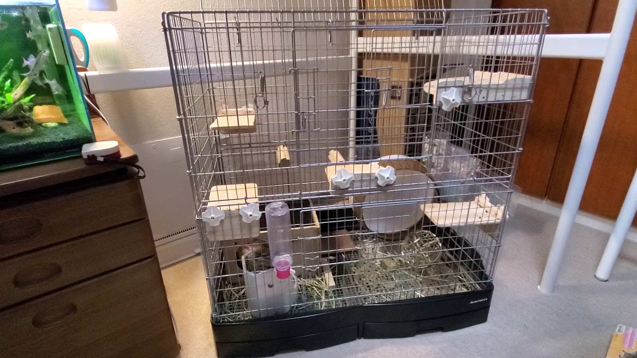 ペットのいる生活 チンチラのケージレイアウトを変更しました Youtube