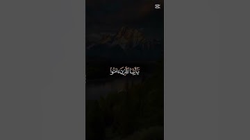#عبدالرحمن_مسعد_تلاوة_جديدة al Quran 🥀🌹 #lovemusic #lifeisbutadream #duet
