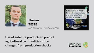 Use of satellite products to predict agricultural commodities price changes from production shocks