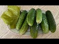 Хрустящие малосольные огурцы. Быстро и вкусно.