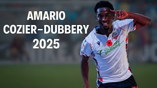 Amario Cozier-Duberry Skills, Goals & Ists 2025