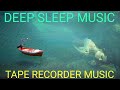 Sleep music meditation music relaxing music with beautiful picturesdelta wave musicstressreliver