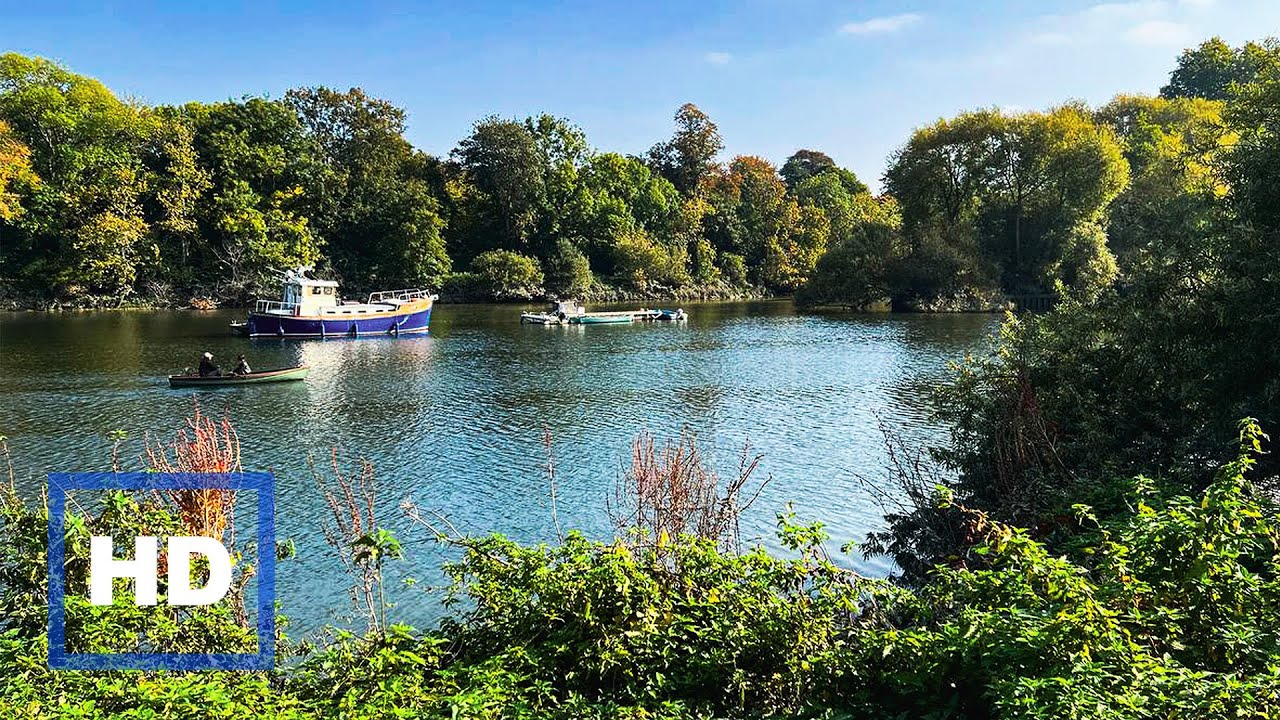 from thames river 🌊to richmond park🌲🪵🦌