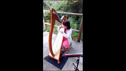 Nicole, harp, Go tell Aunt Rhody, Summer Harp Acad...