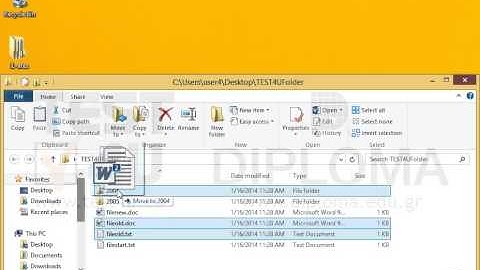 Copy the files fileold.txt and fileold.doc from the TEST4UFolder folder on your desktop, to the...