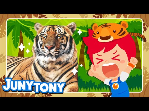 Roar! The Year of the Tiger🐯 | Let's Learn About Tigers | Animal Songs for Kids | JunyTony