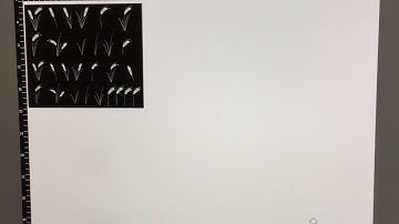 From Inkscape to Universal Laser