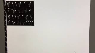 From Inkscape to Universal Laser