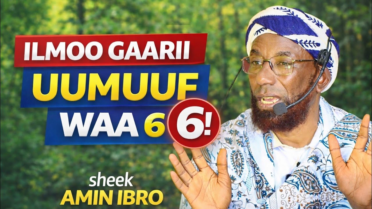 Sheek amin ibro, waa 6 kun waan akkaan barbaachisaadh! February 2026