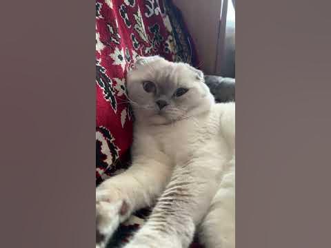 Бедный ребёнок - YouTube