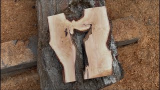 Dissect a TREE to LEARN