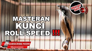 🔴 MASTERAN SUARA KASAR KUNCI ROLL SPEED PADA BURUNG CENDET