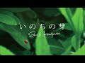 いのちの芽:国安修二