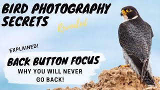 BACK BUTTON FOCUS Explained!  Why you will NEVER go back  Bird Photography Secrets Revealed