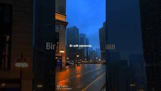 Köse Başlarında Edit