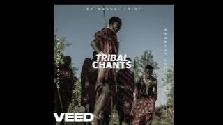 NaughtyBoyzSA – Bakwena (Naughty Mix) [Tribal Deep House | 2022]