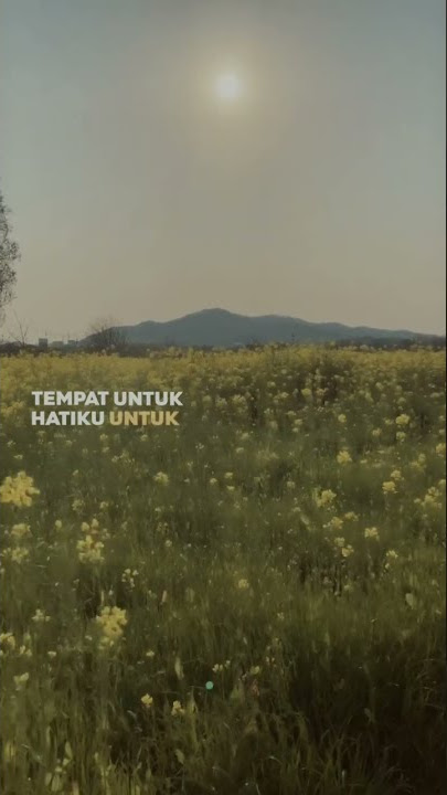 Ternyata Hanya Kamu - Brisia Jodie dan Stevan Pasaribu #laguviraltiktok2022 #shorts #liriklagu