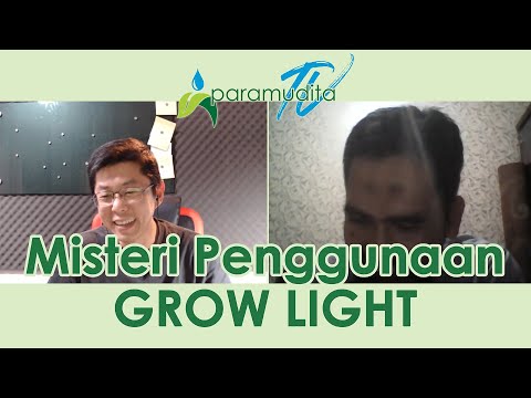 Pada video ini saya akan share hasil percobaan saya terkait penggunaan Lampu LED atau Grow Light unt. 