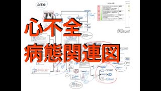 ［公開］心不全の病態関連図