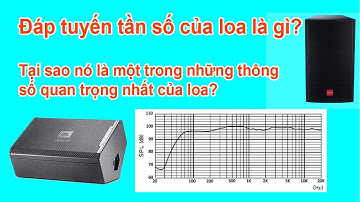 Tìm hiểu đáp tuyến tần số của loa để chọn loa hay, chất lượng và căn chỉnh âm thanh chuẩn