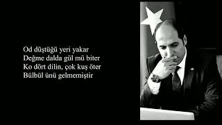 Evvel Allah, Ahi̇r Allah - Şiir: Karacaoğlan / Seslendiren: Ahmet Barbak Resimi