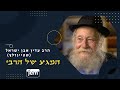 הרב עדין אבן ישראל - שטיינזלץ על גישתו המיוחדת של הרבי