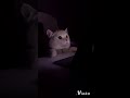 شكلي و انا اتابع قاشا هيت و تدخل عليه أمي