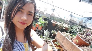 Fixing this PLANTER LIVE