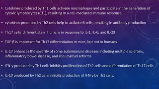 Cell cell interactions in the specific immune response