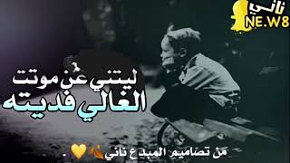 شيلة ليتني عن موتت الغالي فديته 💔💔 .