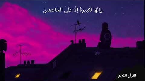 واستعينوا بالصبر والصلاة بصوت القارئ عبدالرحمن مسعد